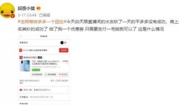 爆料网红砍价事件视频播放,视频播放量惊人，揭秘幕后真相